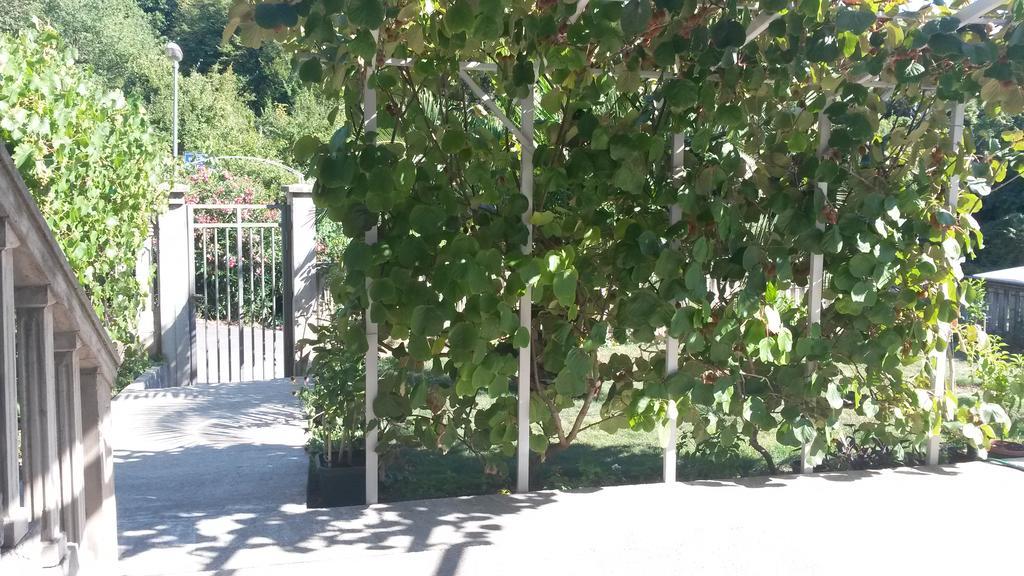 Apartment Villa Dobrijevic -Seljanovo Tivat Buitenkant foto